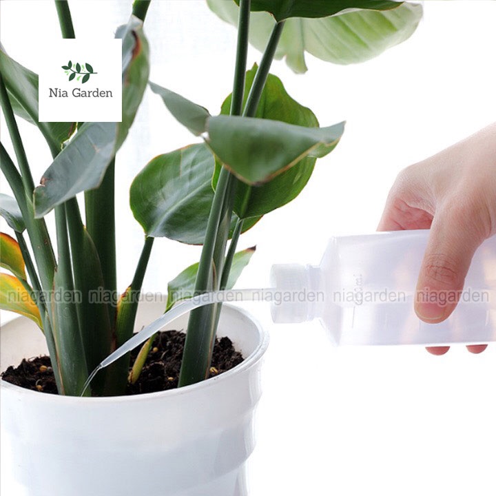 Bình tưới sen đá vòi dài cong tưới cây mini xương rồng để bàn nhỏ gọn nhựa cao cấp Nia Garden N6