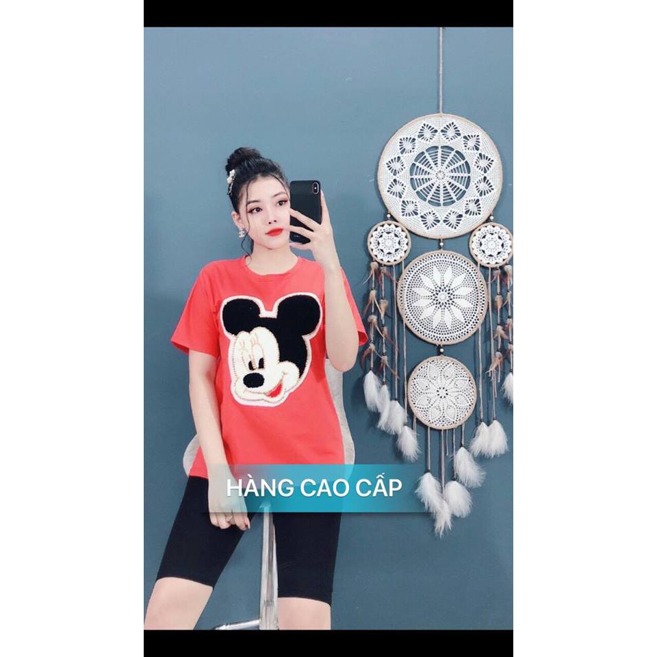 SÉT BỘ THỜI TRANG CAO CẤP ĐẦU CHUỘT LÔNG-SB82