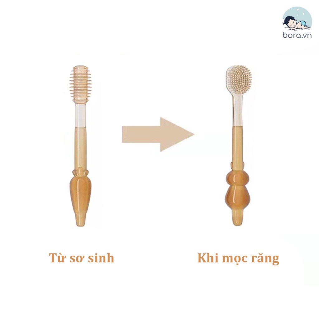 Set rơ lưỡi và bàn chải đánh răng silicon cho bé từ 0 - 18 tháng