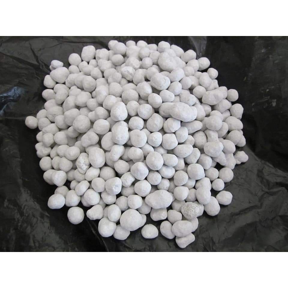 (100gr) phân trắng tan chậm nhật - Magamp K