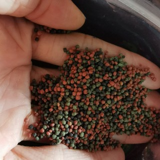 Thức ăn cho cá Sakura gold 500g