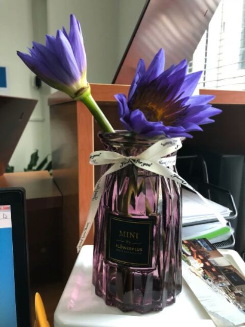 Bình hoa thủy tinh màu