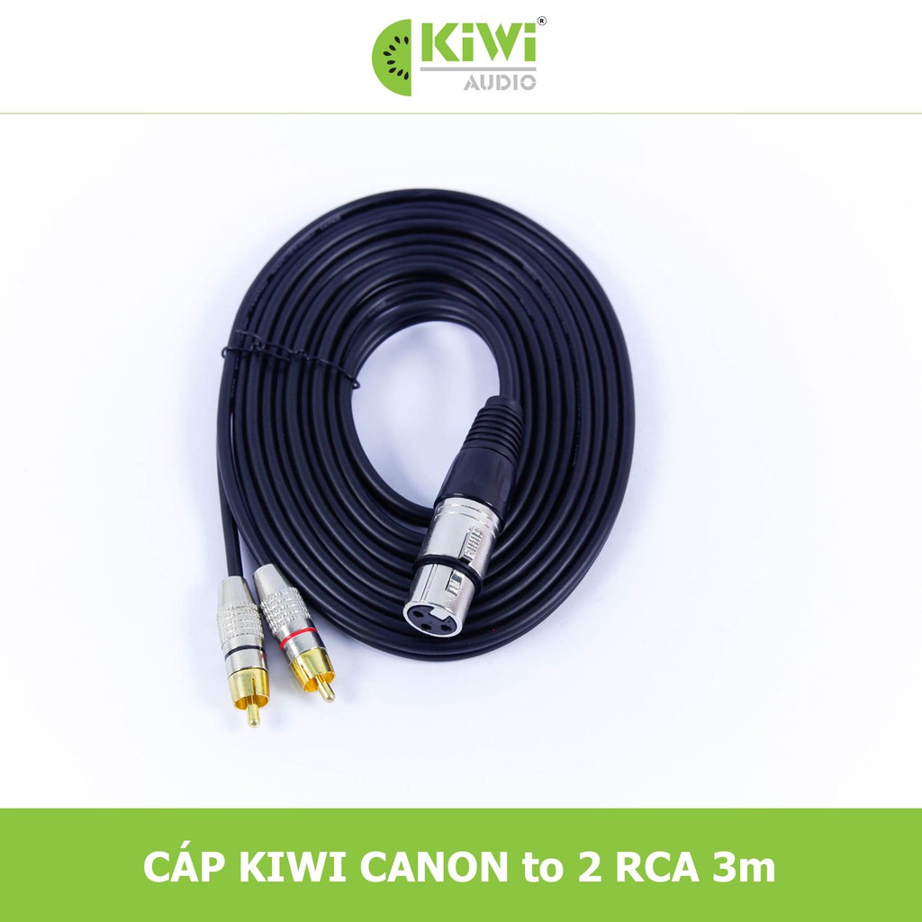 DÂY CANON CÁI RA 2 AV BẰNG ĐỒNG DÀI 3M CHÍNH HÃNG KIWI