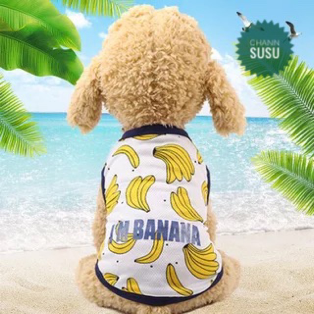 Áo hè thú cưng - Áo chuối banana thun cho chó mèo ( hàng sẵn )
