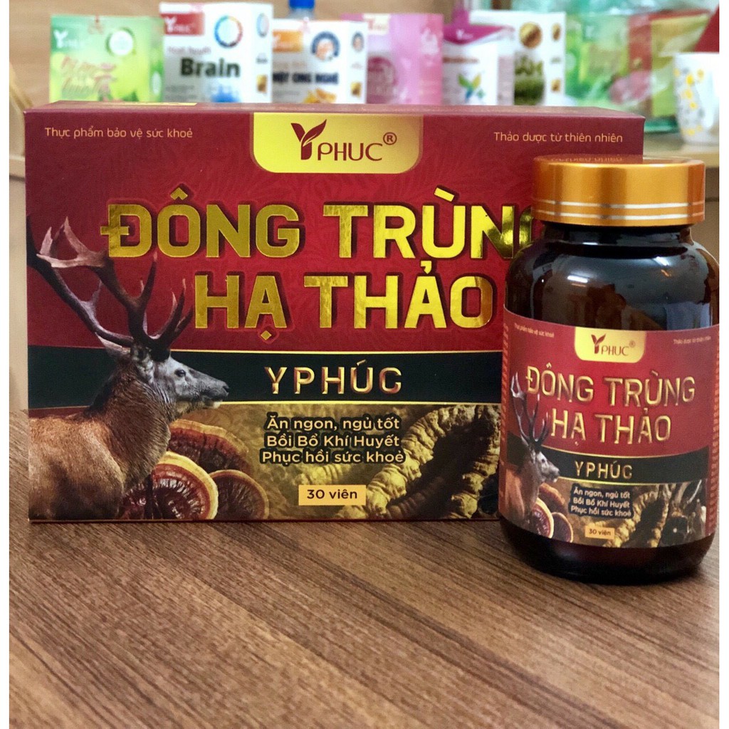 Đông Trùng Hạ Thảo Yphuc giúp bồi bổ khí huyết, tăng cường sức đề kháng, phục hồi cơ thể giúp ăn ngon ngủ tốt