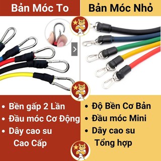 Dây ngũ sắc tập gym
