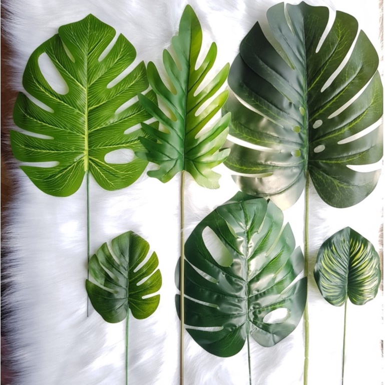 LÁ CÂY GIẢ DECOR monstera, dương xỉ, bạch đàn, khuynh diệp, phụ kiện trang trí chụp ảnh. lá cây xanh mướt