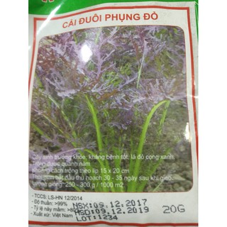 CẢI ĐUÔI PHỤNG ĐỎ nhập khẩu-  chuyên dụng.