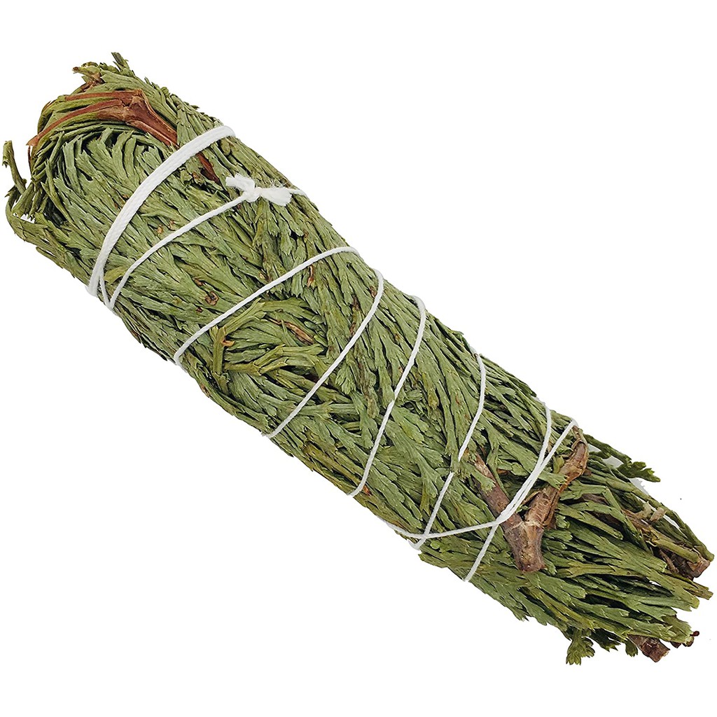 Cedar Sage/ Bó tuyết tùng/ Thảo dược xông nhà- 12 cm