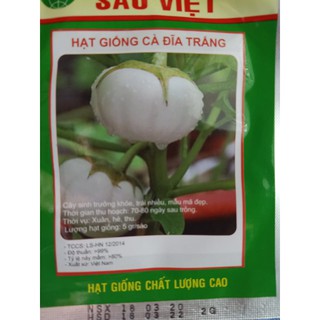 Hạt giống cà dĩa trắng