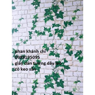 (tặng kèm dụng cụ) combo 10m giấy dán tường gạch dây leo 3d