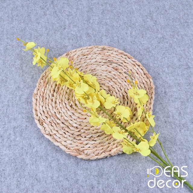 Kệ trang trí MOSESTAR