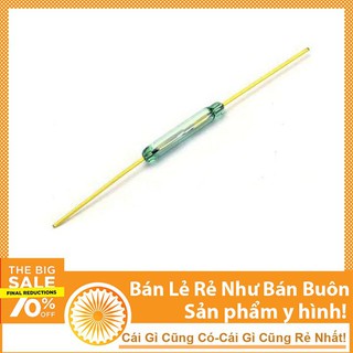 Công Tắc Từ FR3S 2x14mm - NTHN
