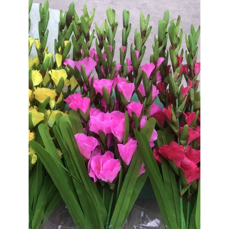 Cành hoa dơn cắm bình -1 bó /10 cành