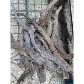 Lũa Thủy sinh - Lũa san đá cành giá rẻ