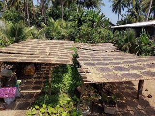 Bánh Tráng Dừa Bình Định