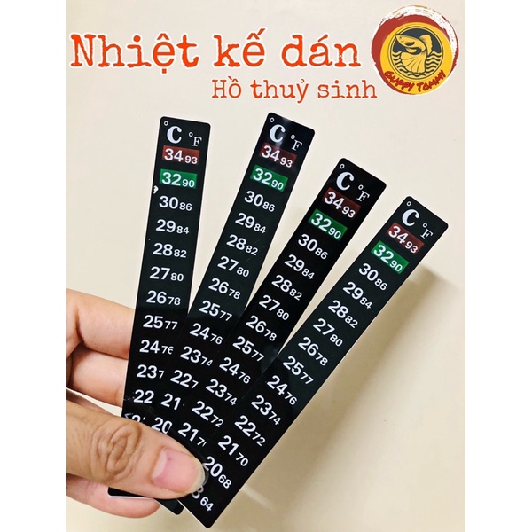 Nhiệt kế dán - Thanh cảm biến  đo nhiệt độ hồ thuỷ sinh