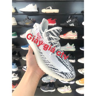 Giày thể thao yz sneaker vằn ngựa