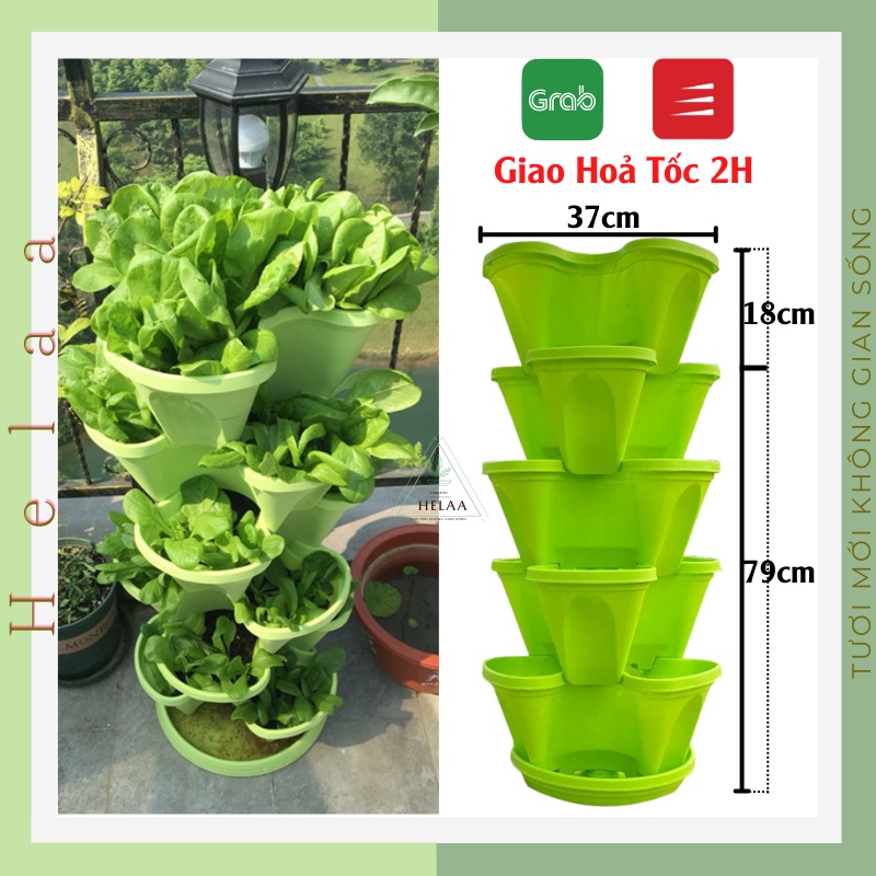 Combo 5 Chậu Tháp Trồng Rau Hữu Cơ + Đĩa, Khay Trồng Rau Thông Minh, Chậu Nhựa Xếp Tầng- Tiết Kiệm Không Gian (Cao 80cm)