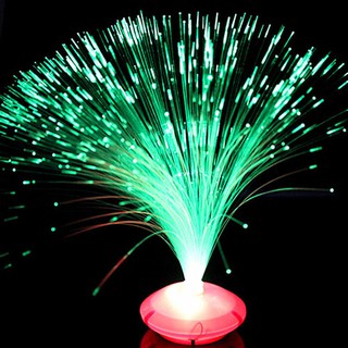 Đèn sợi quang học đổi màu độc đáo