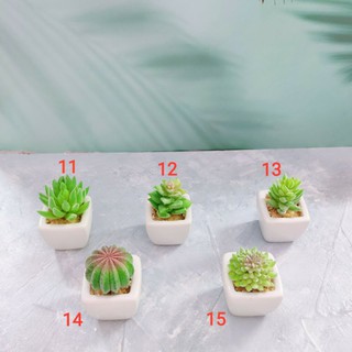 Sen đá giả mini
