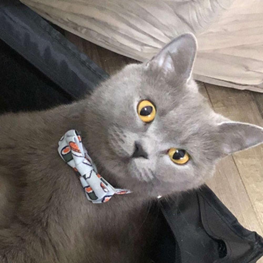 [COD] Vòng Cổ Hình Chó Bull / Pug / Corgi Thắt Nơ Xinh Xắn Dành Cho Thú Cưng