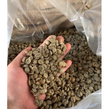 1kg_Nhân Cà phê sống ROBUSTA S18 CHỌN LỌC