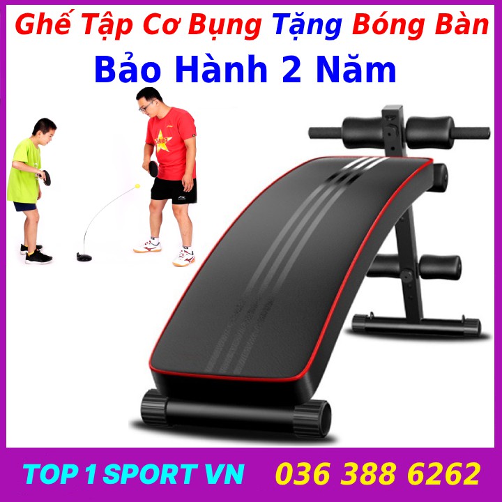 Ghế máy tập cơ bụng gym thể dục tổng hợp chính hãng Elipsport AB GYM - Tặng bộ bóng bàn luyện phản xạ -Bảo hành 12 tháng