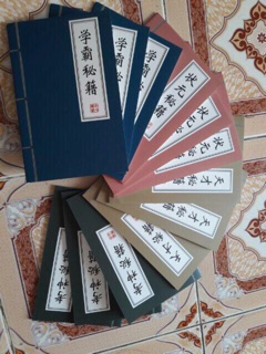 sổ bí kíp võ công nhiều màu