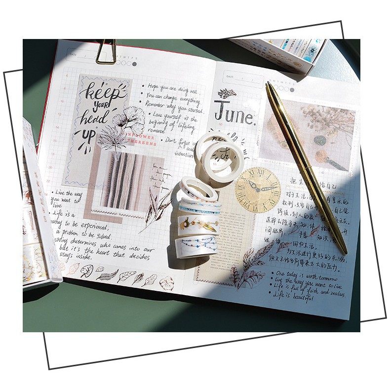 Set băng dính washi tape nhũ WT245