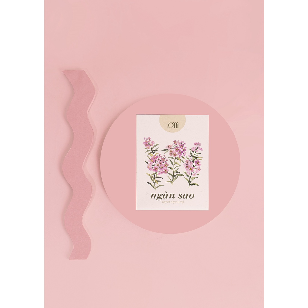 Hạt giống non-GMO - Ngàn sao | non-GMO seed Sweet Alyssum