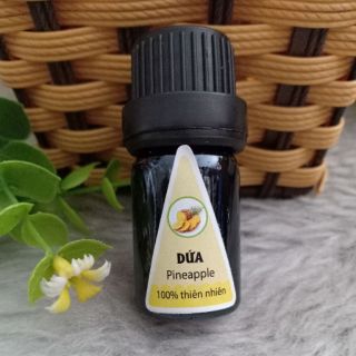 Tinh dầu dứa lọ 5ml khử mùi và thư giãn