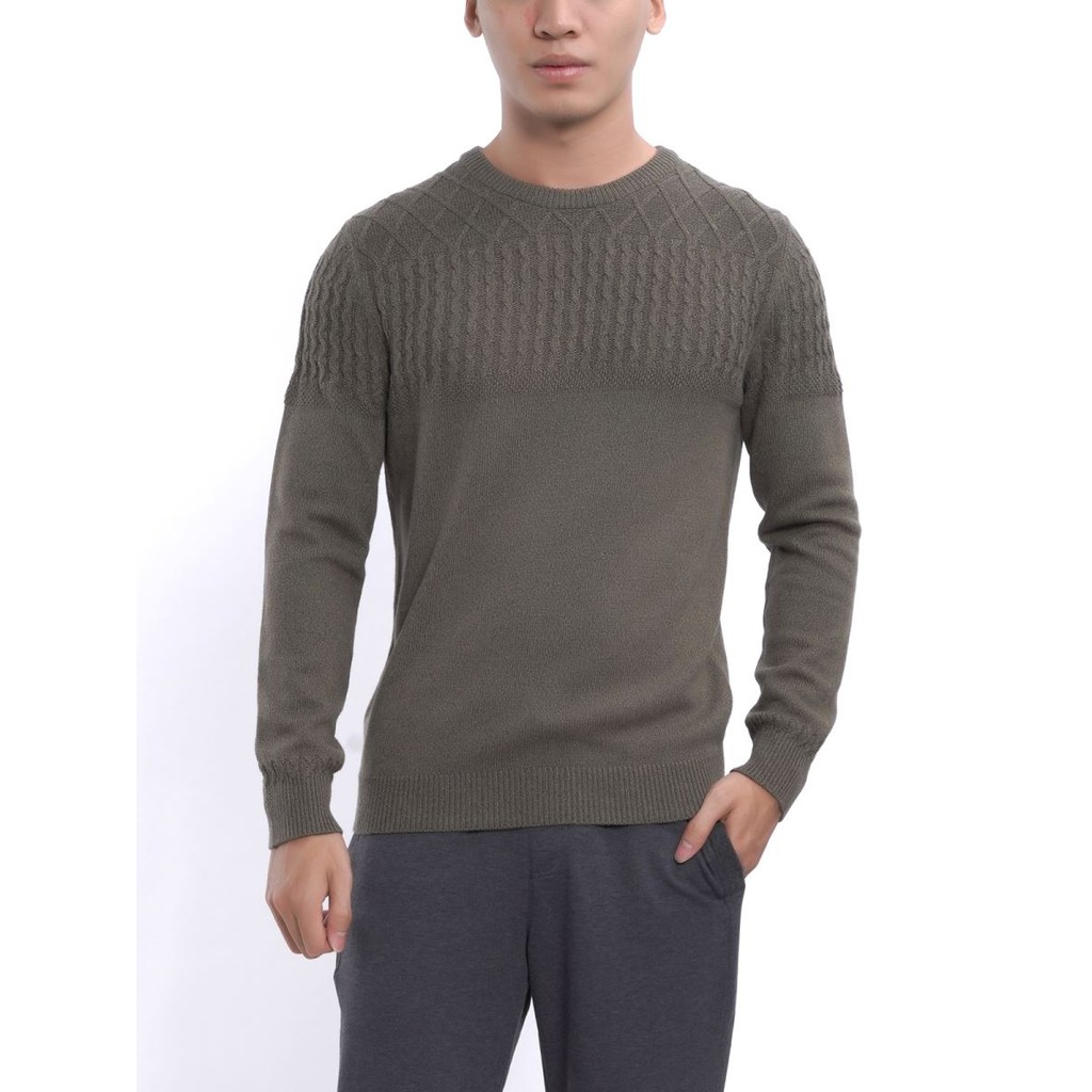 Áo len aristino màu rêu slim fit AWO008W7
