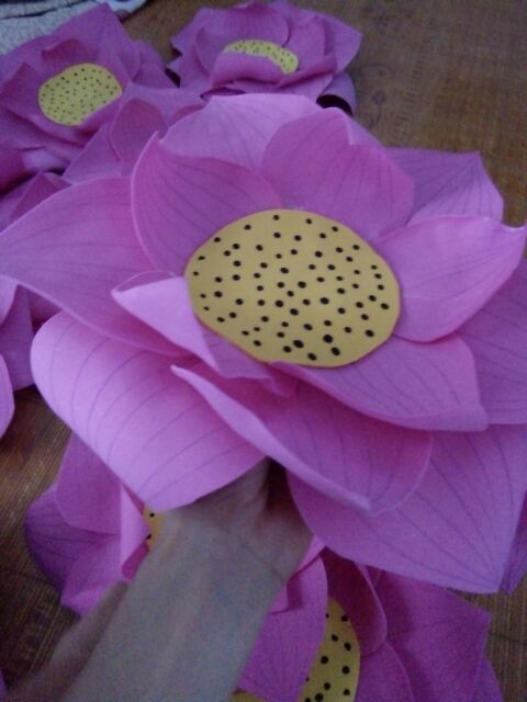 Hoa sen múa cho bé | BigBuy360 - bigbuy360.vn