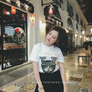 Áo mèo kim sa