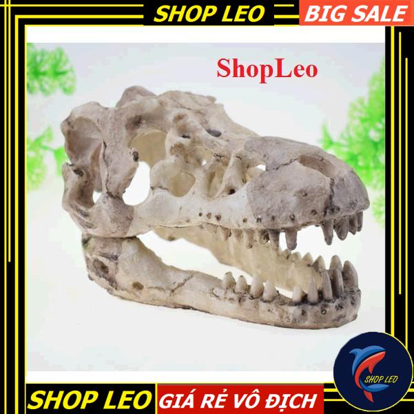 ĐẦU XƯƠNG KHỦNG LONG SIZE TO - HANG THỦY SINH