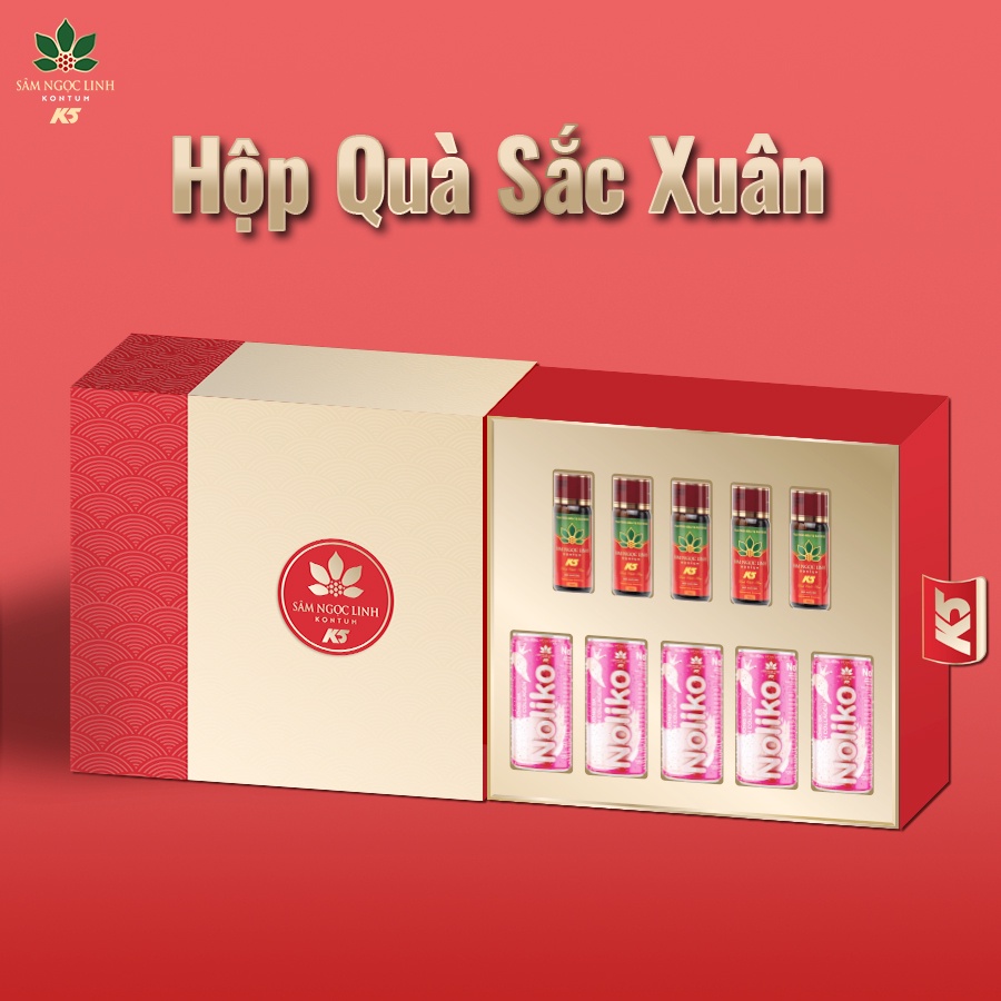 [Quà Tết] Hộp Quà Sắc Xuân - Sâm Ngọc Linh Kon Tum K5 Chính Hãng