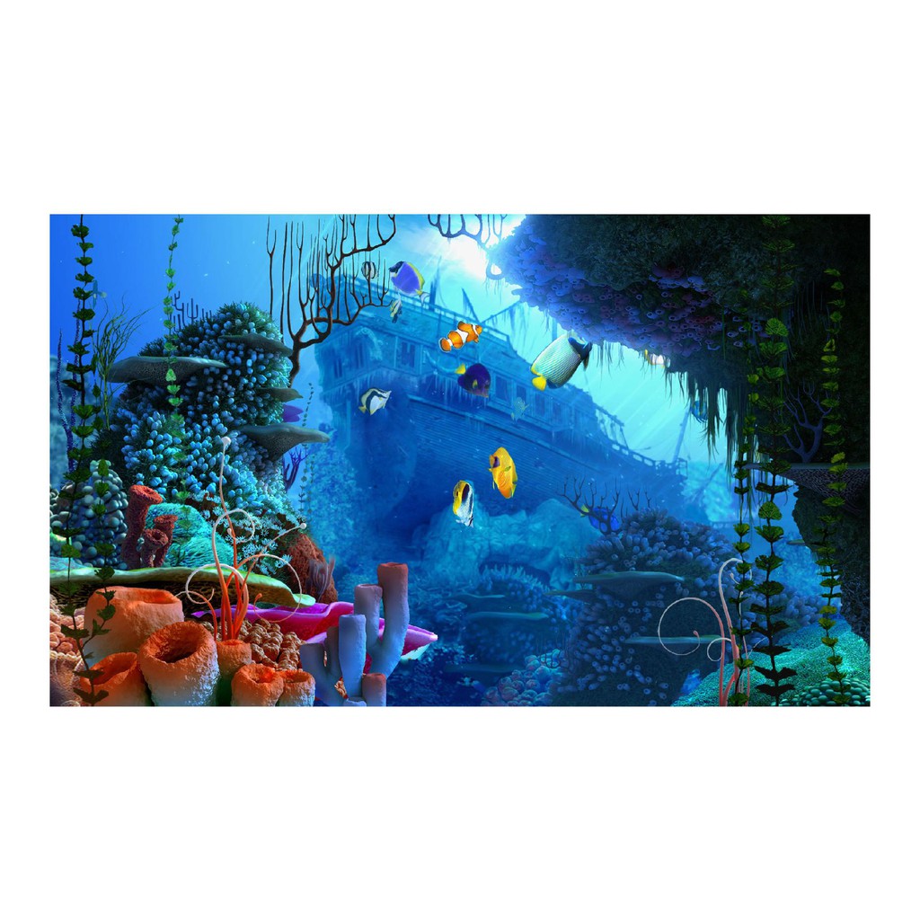 TRANH DÁN HỒ CÁ NHIỀU KÍCH THƯỚC_THIẾT KẾ NÀNG THƠ