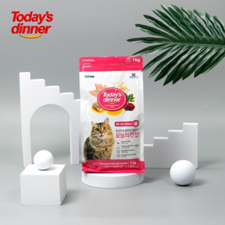 Thức ăn hạt Today’s Dinner cho mèo 🐈
