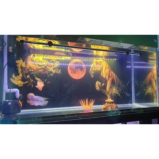 Tranh dán bể cá 3D - HỔ - KT 120x50 cm