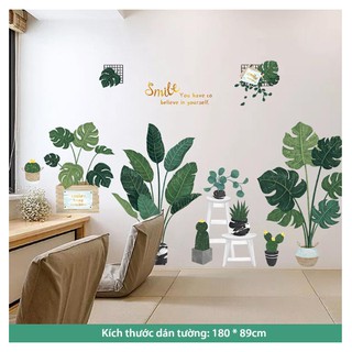 Decal dán tường trang trí gia đình: Chậu cây xanh mẫu Hàn SS161