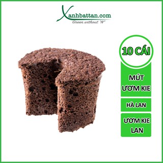 Set 10 cái mút ươm kie hà lan - ươm kie, tạo độ ẩm và kích rễ lan