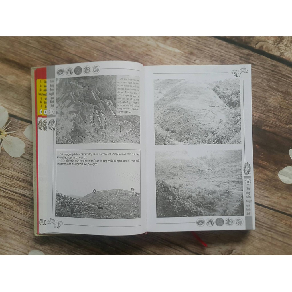 Sách - Tầm Long Điểm Huyệt Qua Hình Ảnh | BigBuy360 - bigbuy360.vn