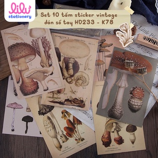 Sticker vintage set 10 tấm dán sổ tay DIY Crafts, Scrapbook, Journal, Diary, Planner, Wal Seal Ect HD233 - K78