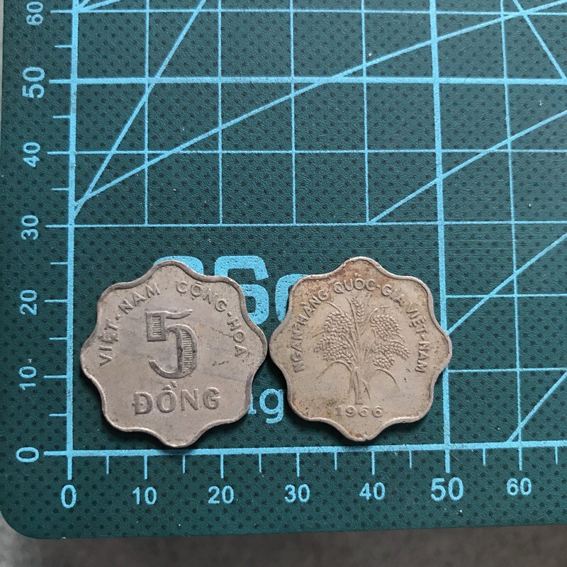 Sưu tập - 5 đồng bông mai 8 cánh 1966 | BigBuy360 - bigbuy360.vn