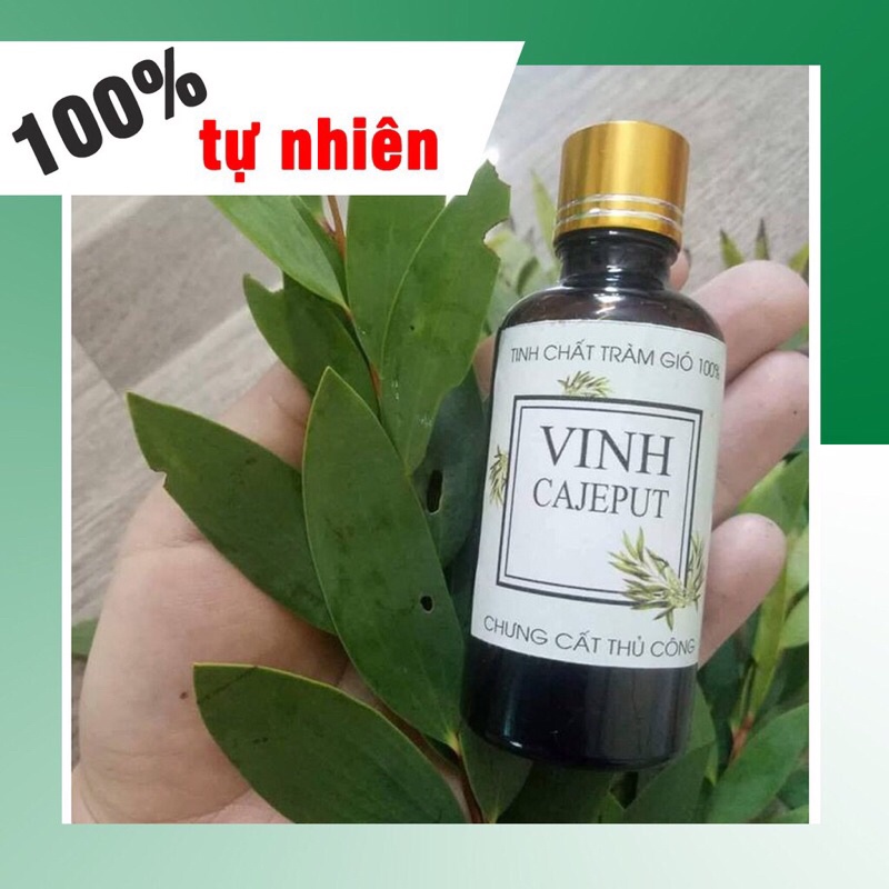 Lọ 5ml Tinh Dầu Tràm gió Nguyên Chất 100% VINH CAJFPUT