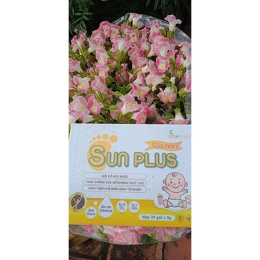 Sữa non Sunplus 15 gói