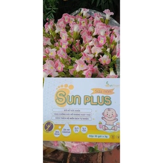 Sữa non Sunplus 15 gói