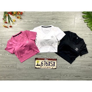 Áo Thun Thể Thao Croptop Co Giãn 4 Chiều