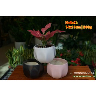 Chậu bóng lõm chậu gốm sứ trồng cây cảnh để bàn sen đá xương rồng cây nội thất
